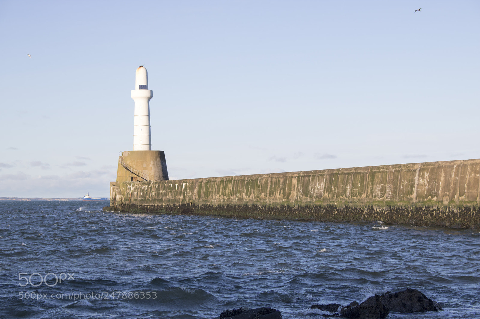 Canon EOS 750D (EOS Rebel T6i / EOS Kiss X8i) sample photo. Aberdeen lighthouse in front photography
