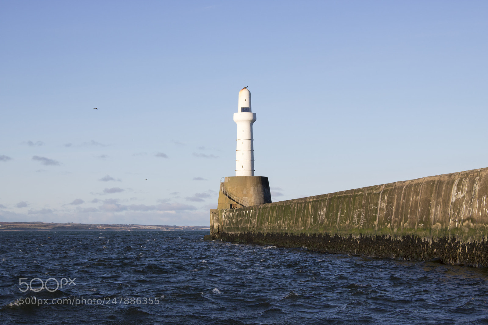Canon EOS 750D (EOS Rebel T6i / EOS Kiss X8i) sample photo. Aberdeen lighthouse in front photography