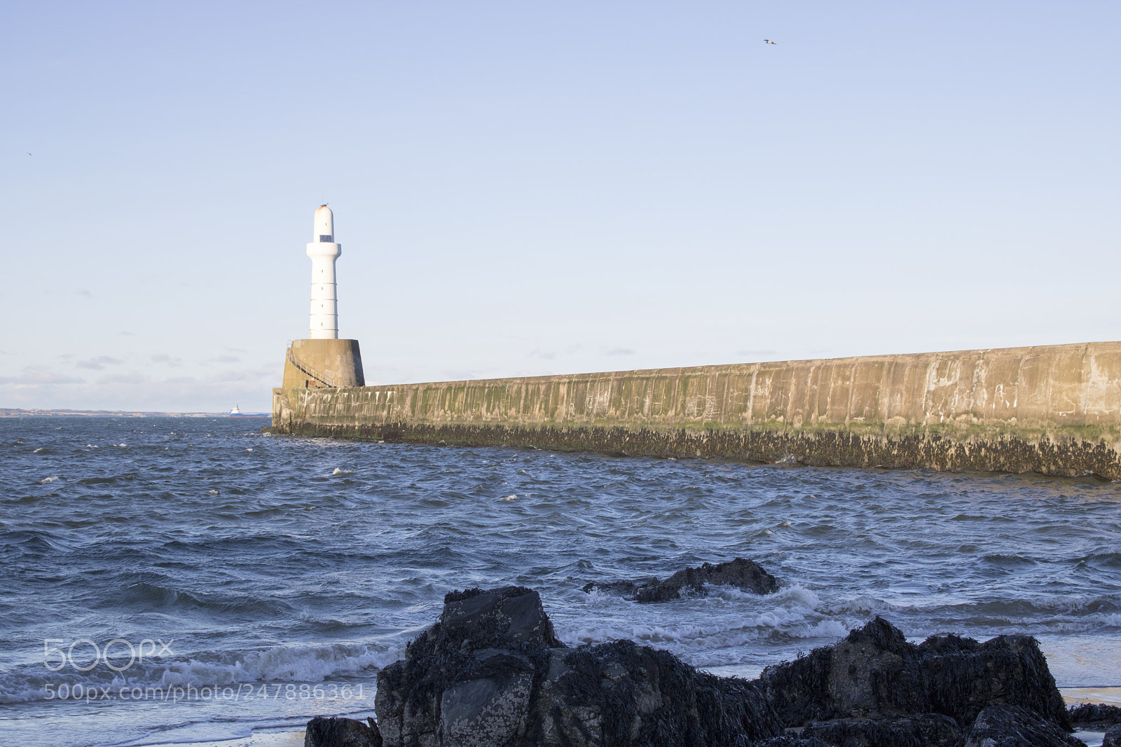 Canon EOS 750D (EOS Rebel T6i / EOS Kiss X8i) sample photo. Aberdeen lighthouse in front photography