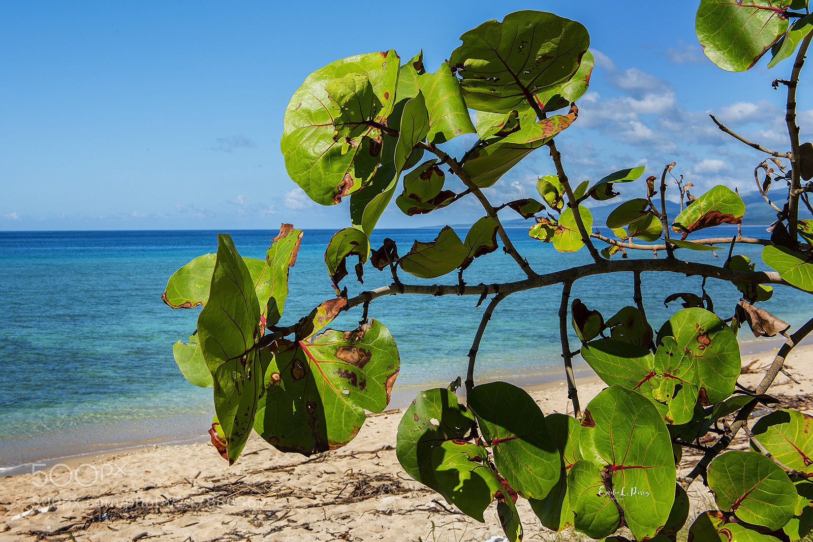 Nikon D810 sample photo. Blue sea, cuba photography