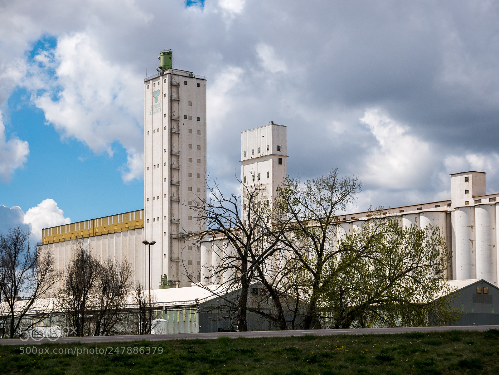 Panasonic Lumix DMC-LX100 sample photo. Union equity grain photography