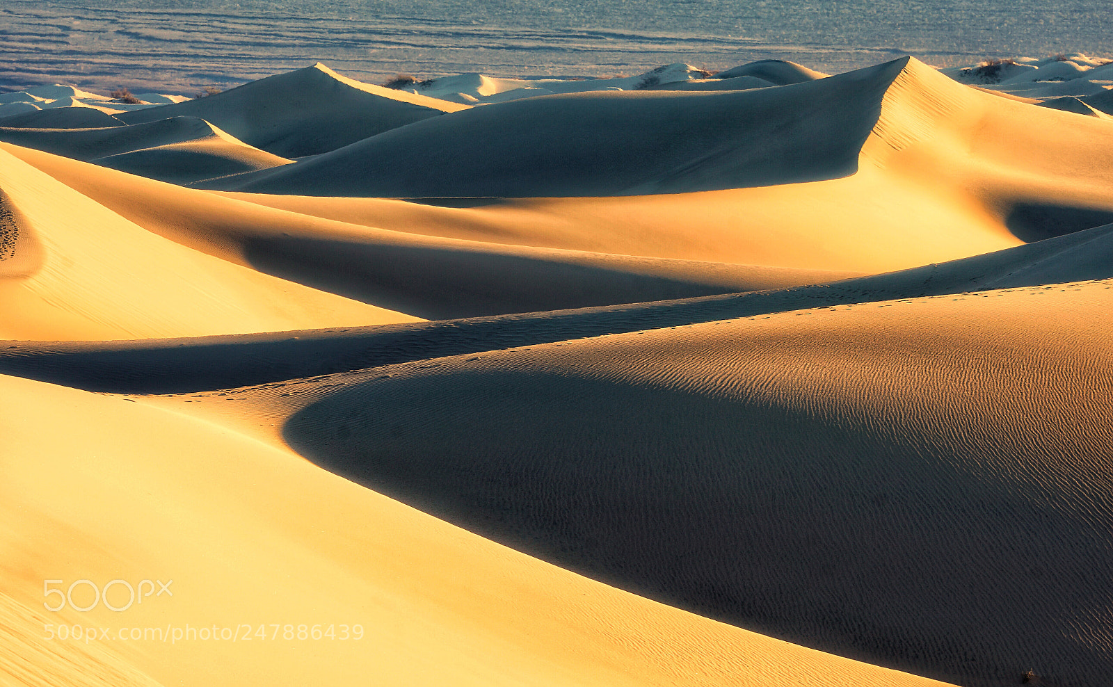 Sony a7R II sample photo. Sand dune in death photography