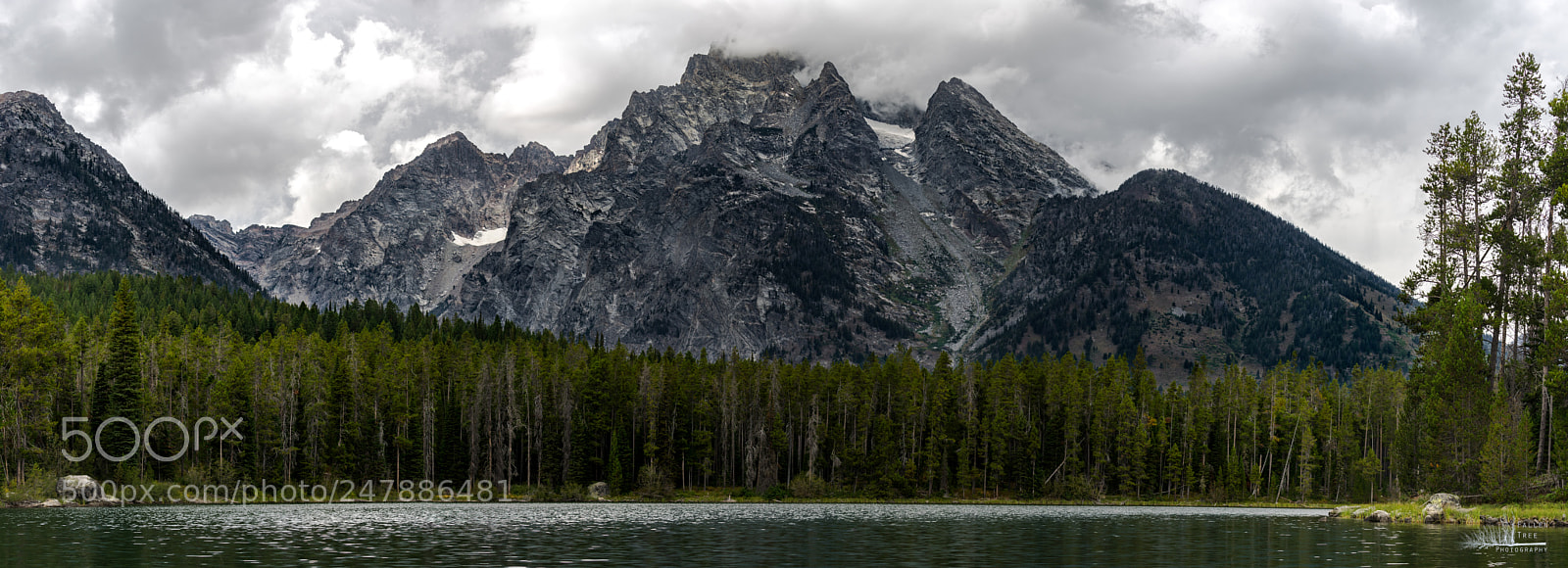Sony a7 II sample photo. 25694980987.jpg photography