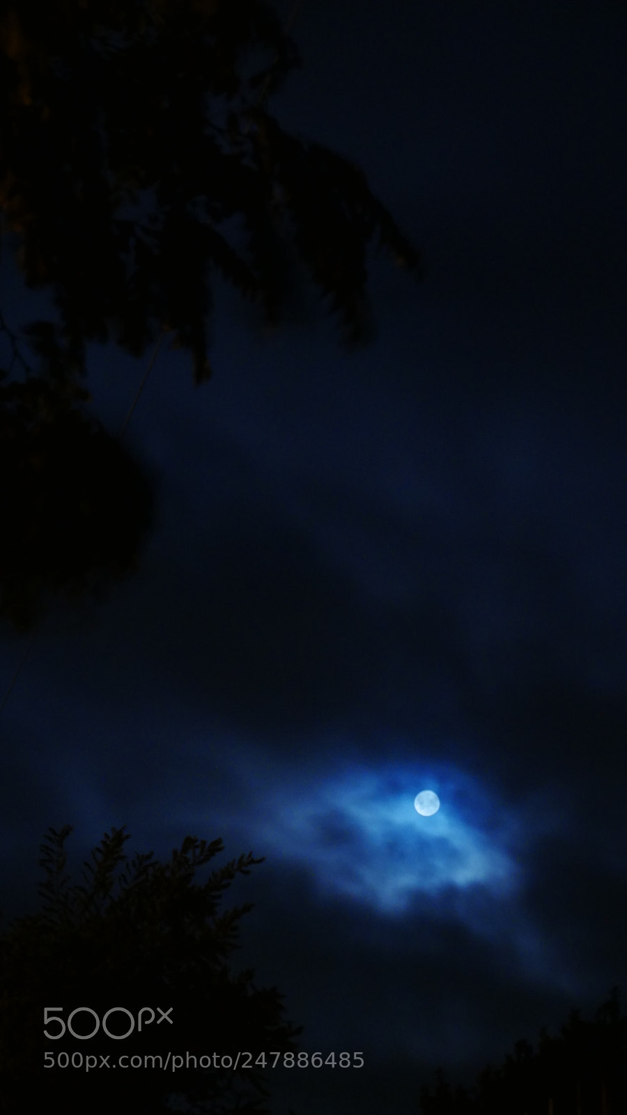 Panasonic Lumix DMC-G7 sample photo. Moon 1 photography