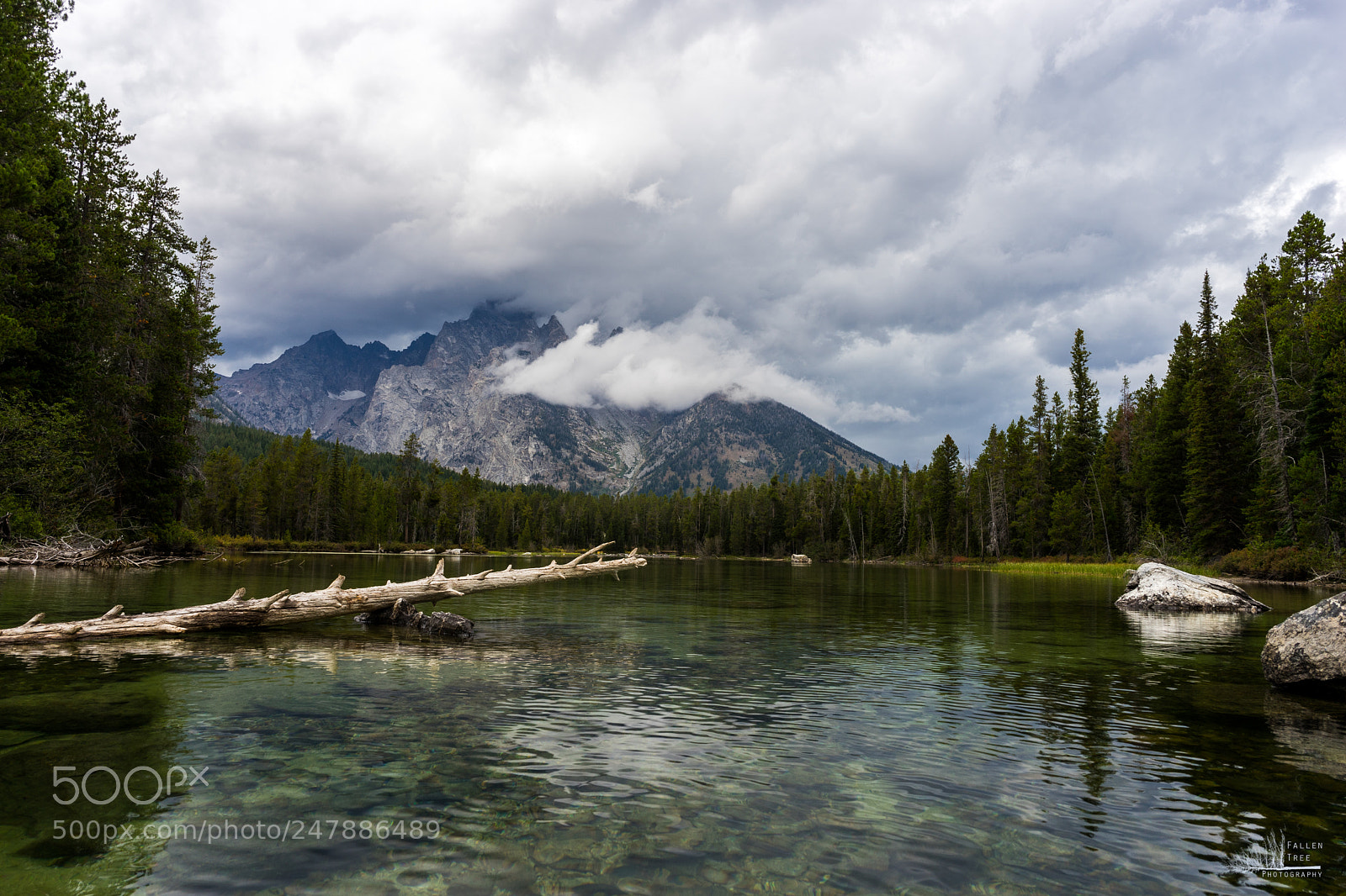 Sony a7 II sample photo. 39670403355.jpg photography