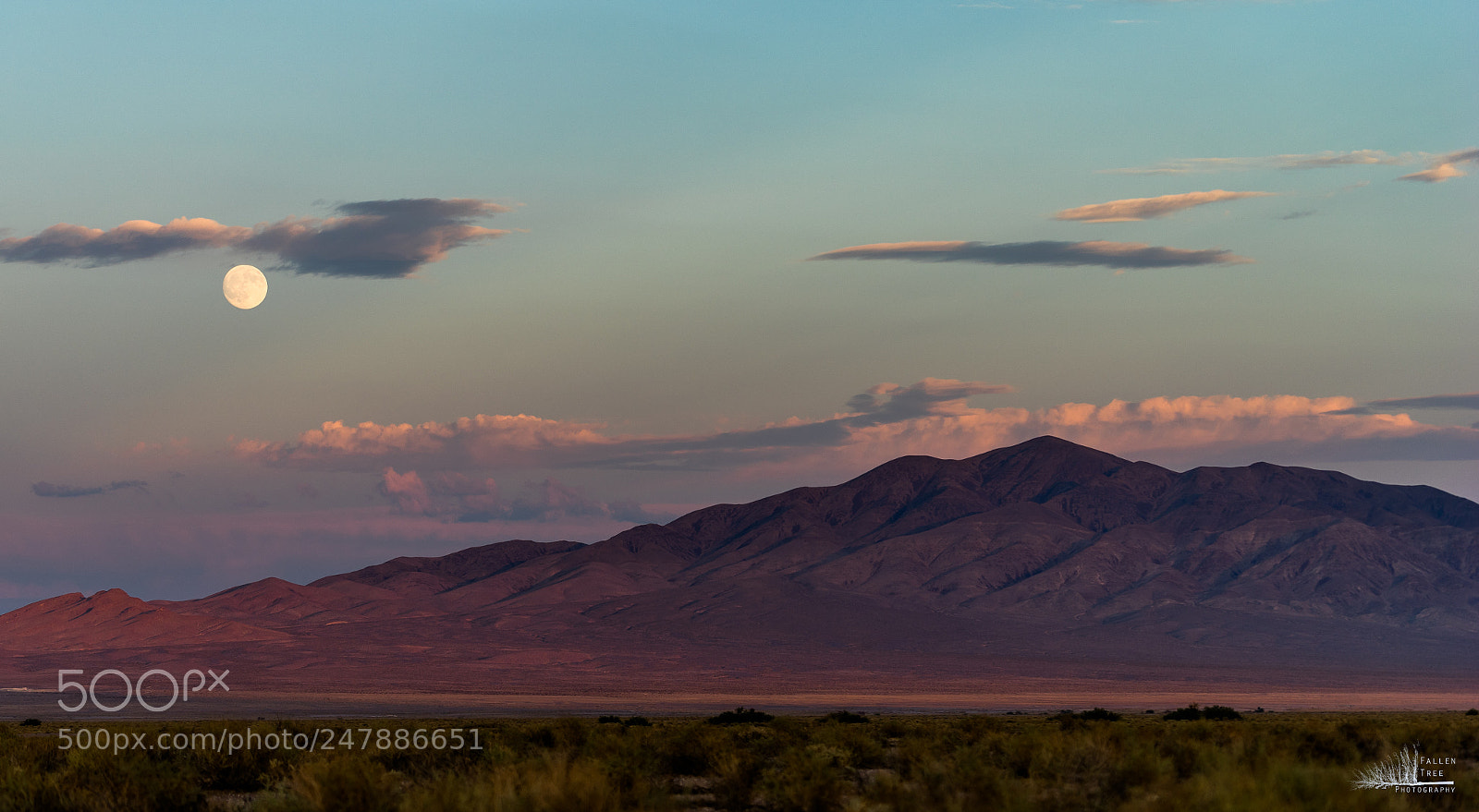 Sony a7 II sample photo. 38755221210.jpg photography