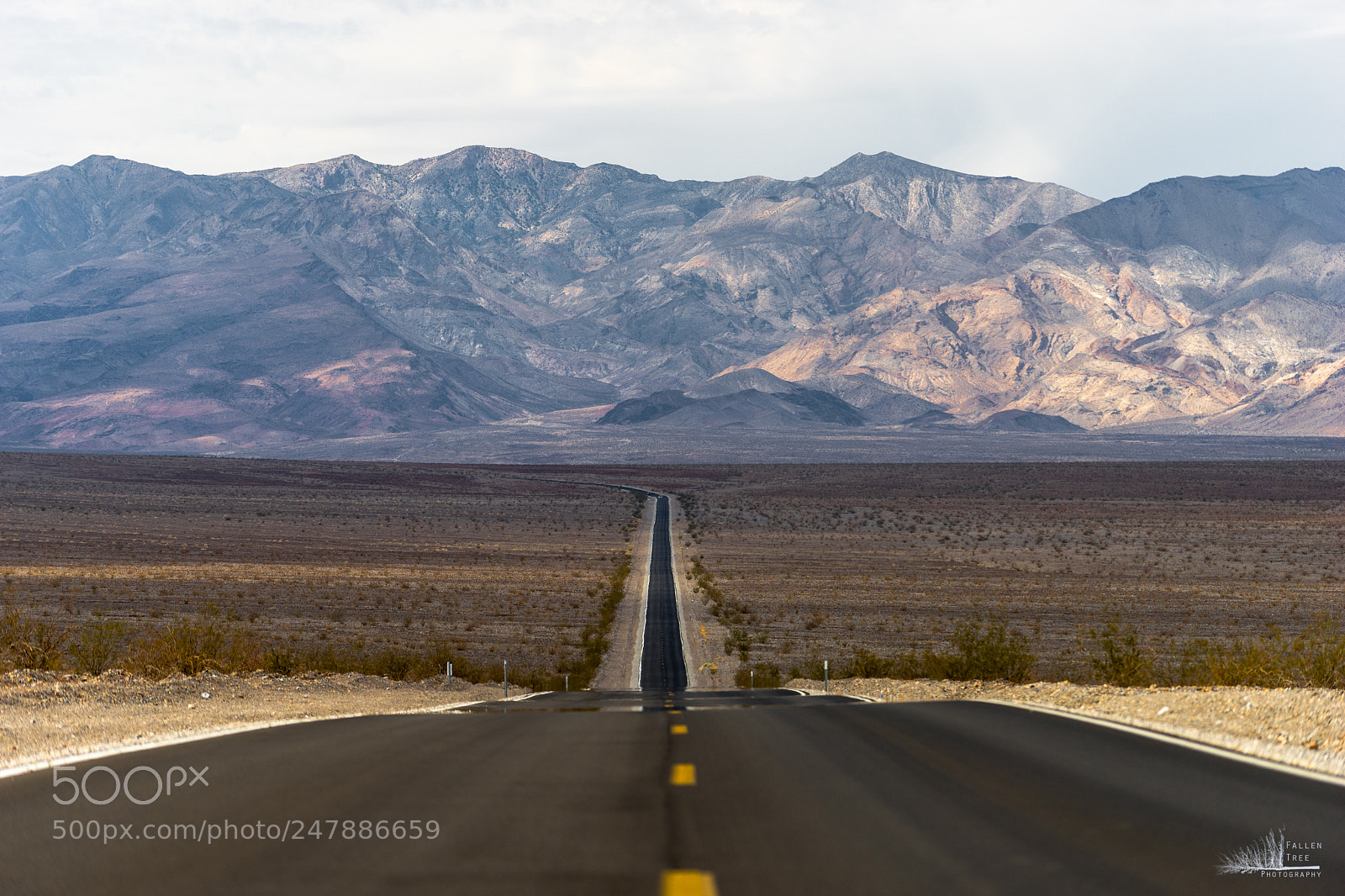 Sony a7 II sample photo. 40522810572.jpg photography
