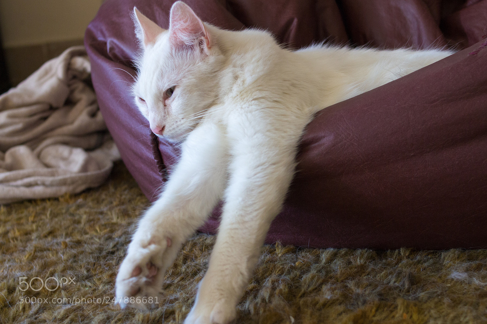 Canon EOS 700D (EOS Rebel T5i / EOS Kiss X7i) sample photo. Me every morning photography