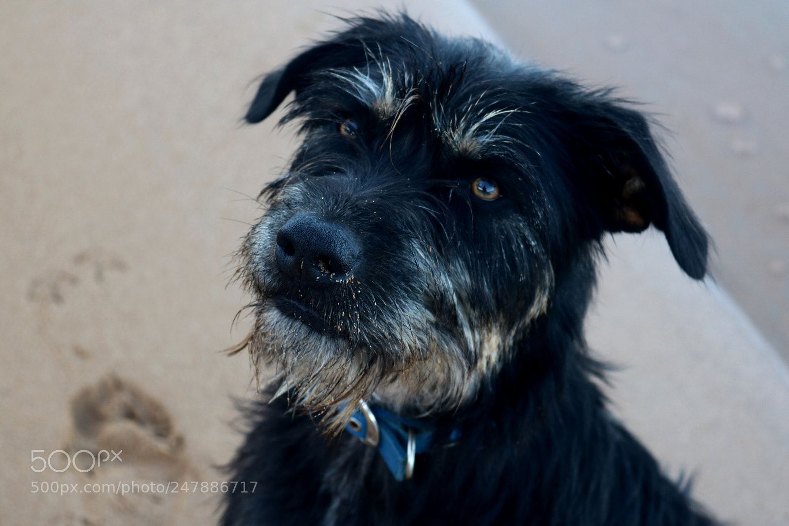 Canon EOS 760D (EOS Rebel T6s / EOS 8000D) sample photo. Thea photography