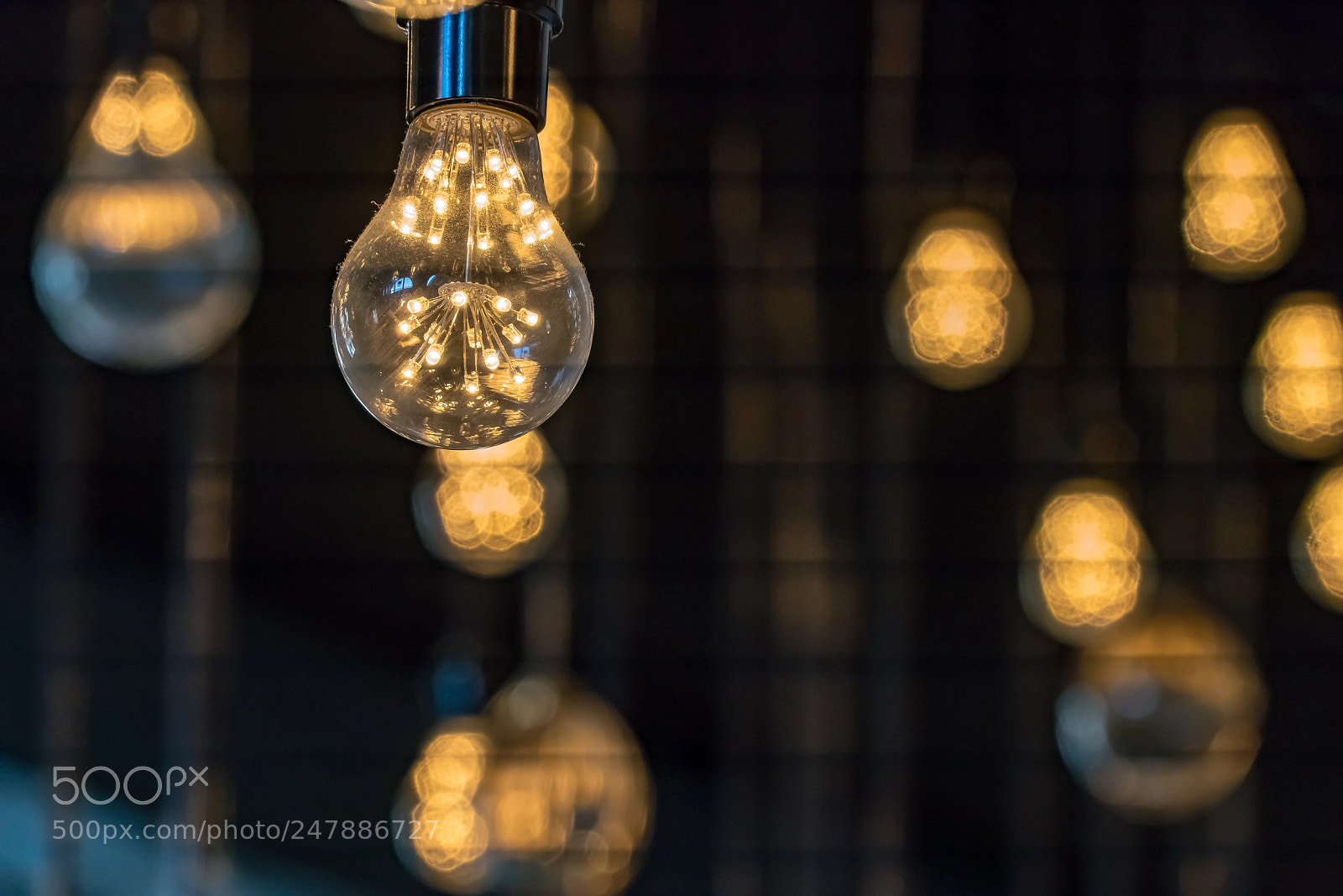 Sony a7R II sample photo. Colony of bulbs photography