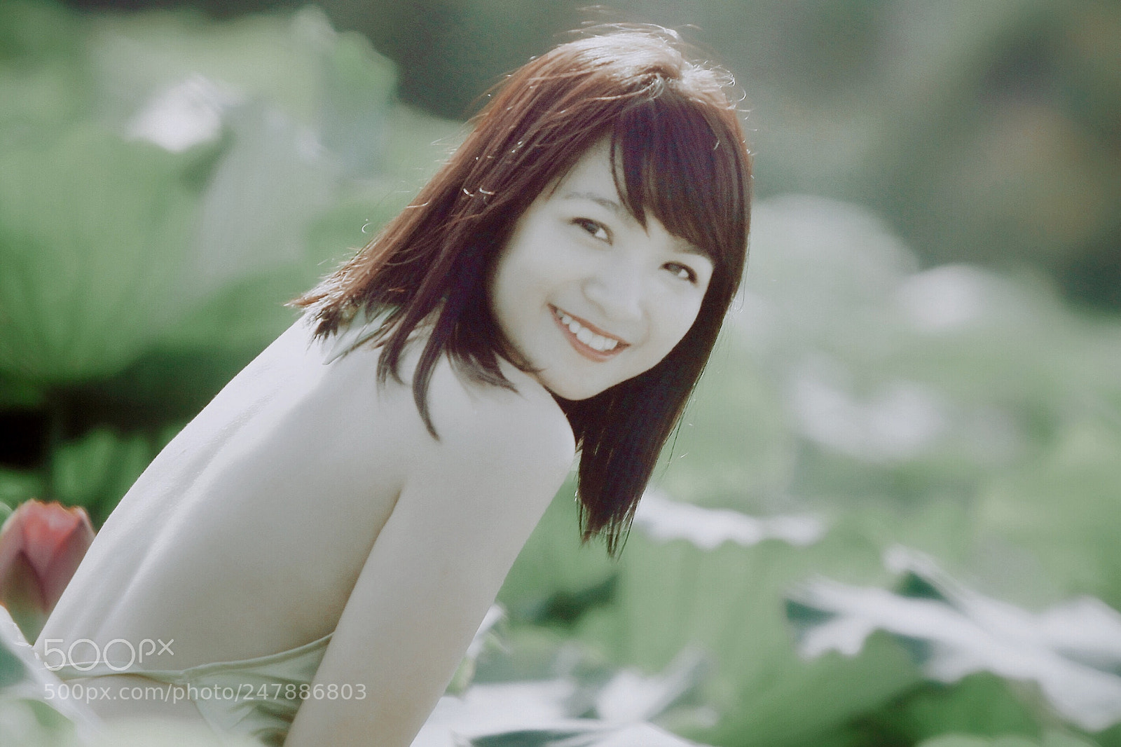 Canon EOS 50D sample photo. Untitled photography