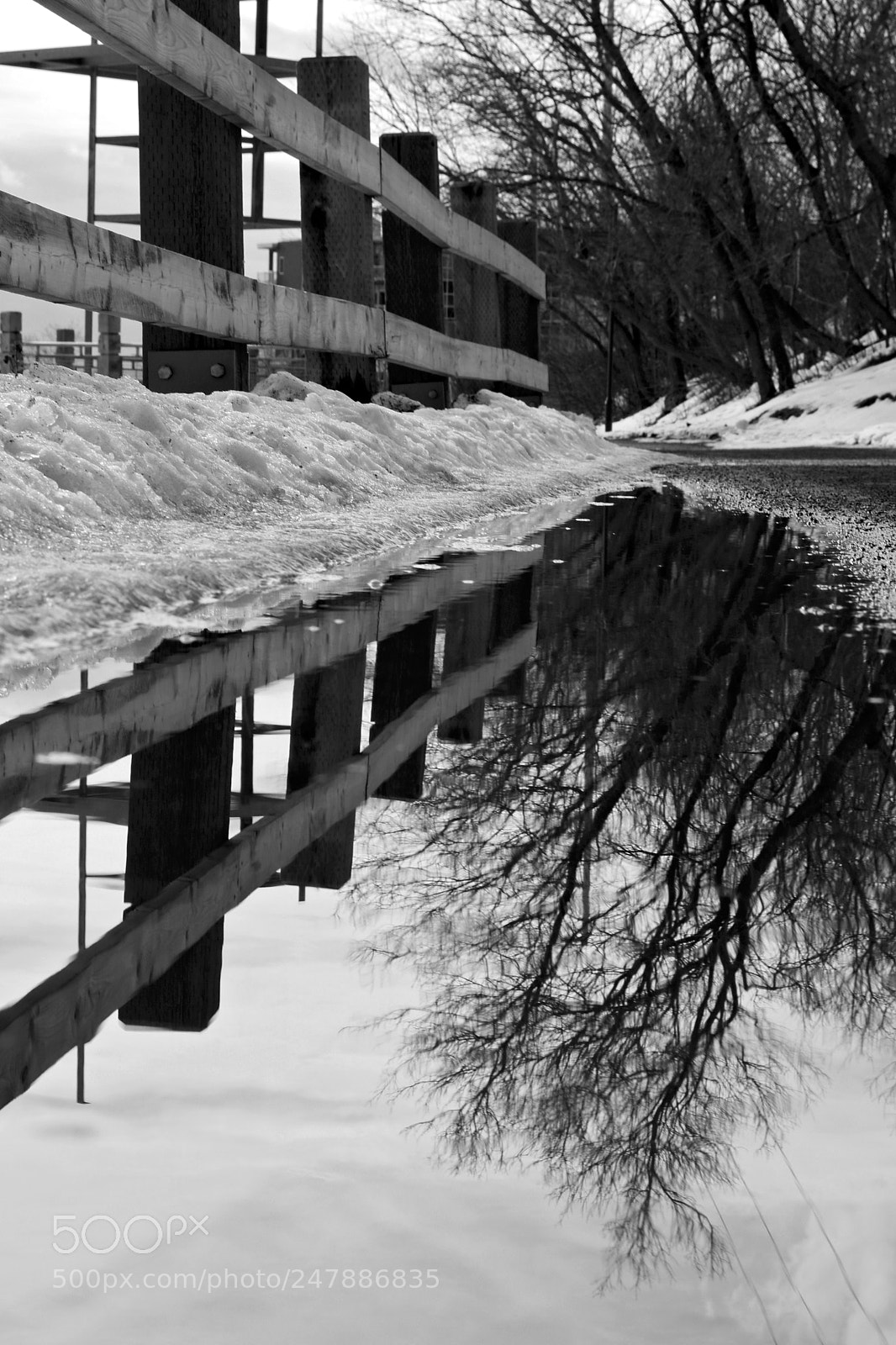 Canon EOS 750D (EOS Rebel T6i / EOS Kiss X8i) sample photo. In the water photography