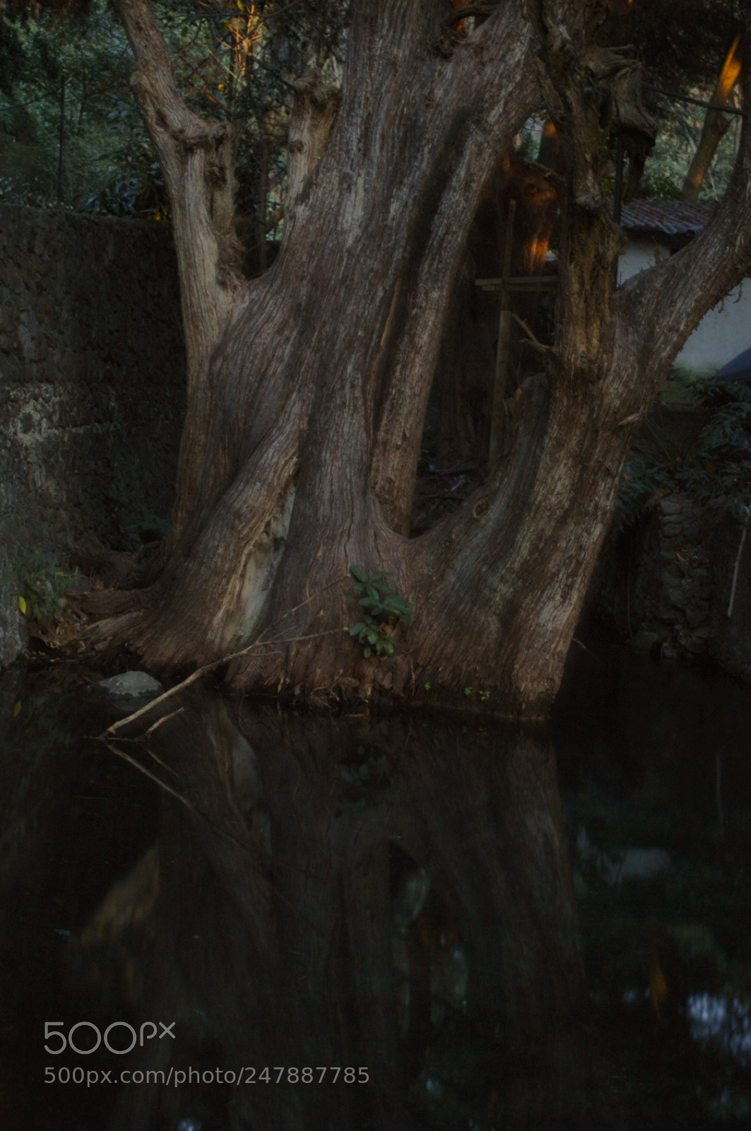 Nikon D3200 sample photo. Untitled photography