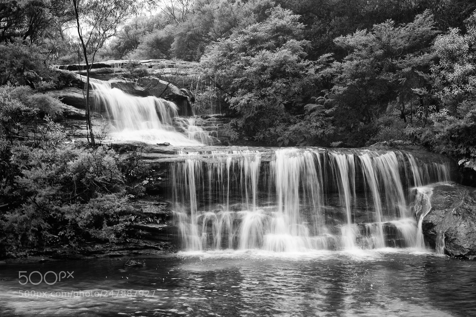 Pentax K-5 sample photo. Jamison creek photography