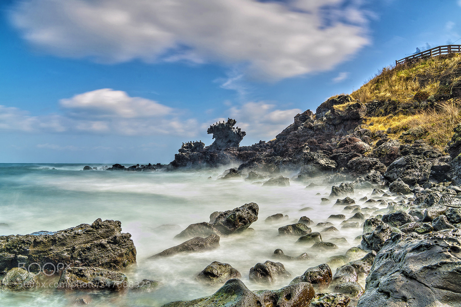 Sony a7R II sample photo. Dragon  head photography