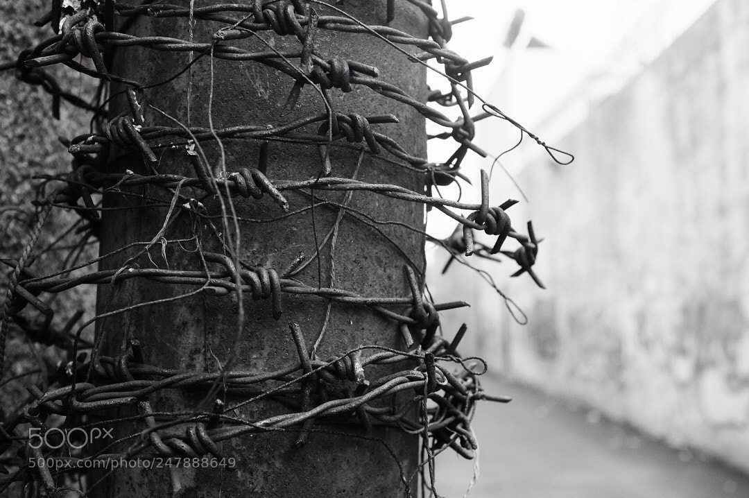 Fujifilm X100S sample photo. Untitled photography
