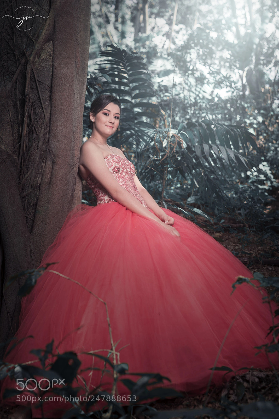Nikon D800 sample photo. Copia photography
