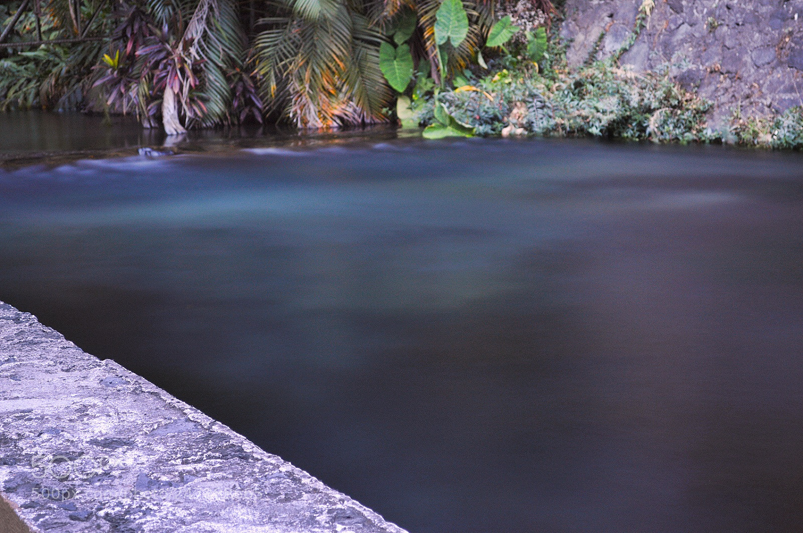Nikon D3200 sample photo. Untitled photography