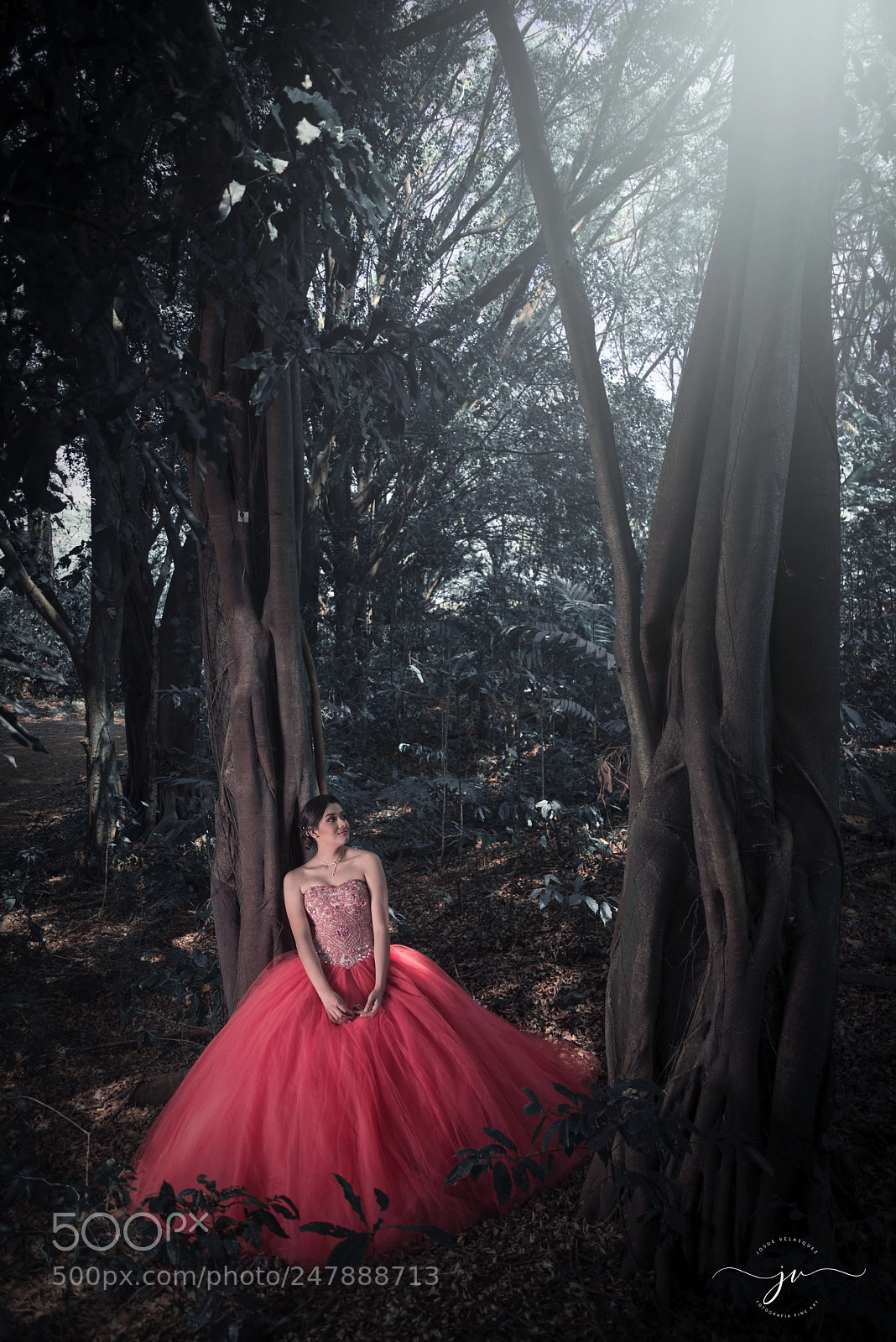 Nikon D800 sample photo. Copia photography