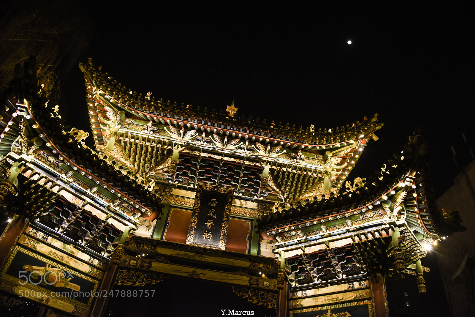 Nikon D810 sample photo. Park photography