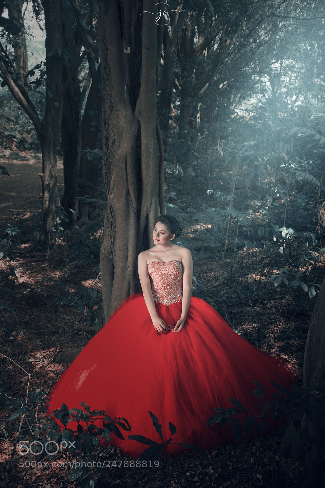 Nikon D800 sample photo. Jos photography