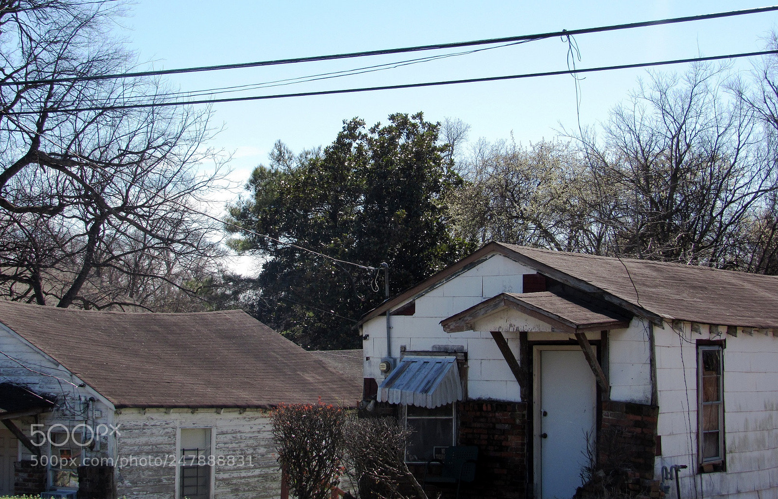 Canon PowerShot SX530 HS sample photo. Shotgun photography
