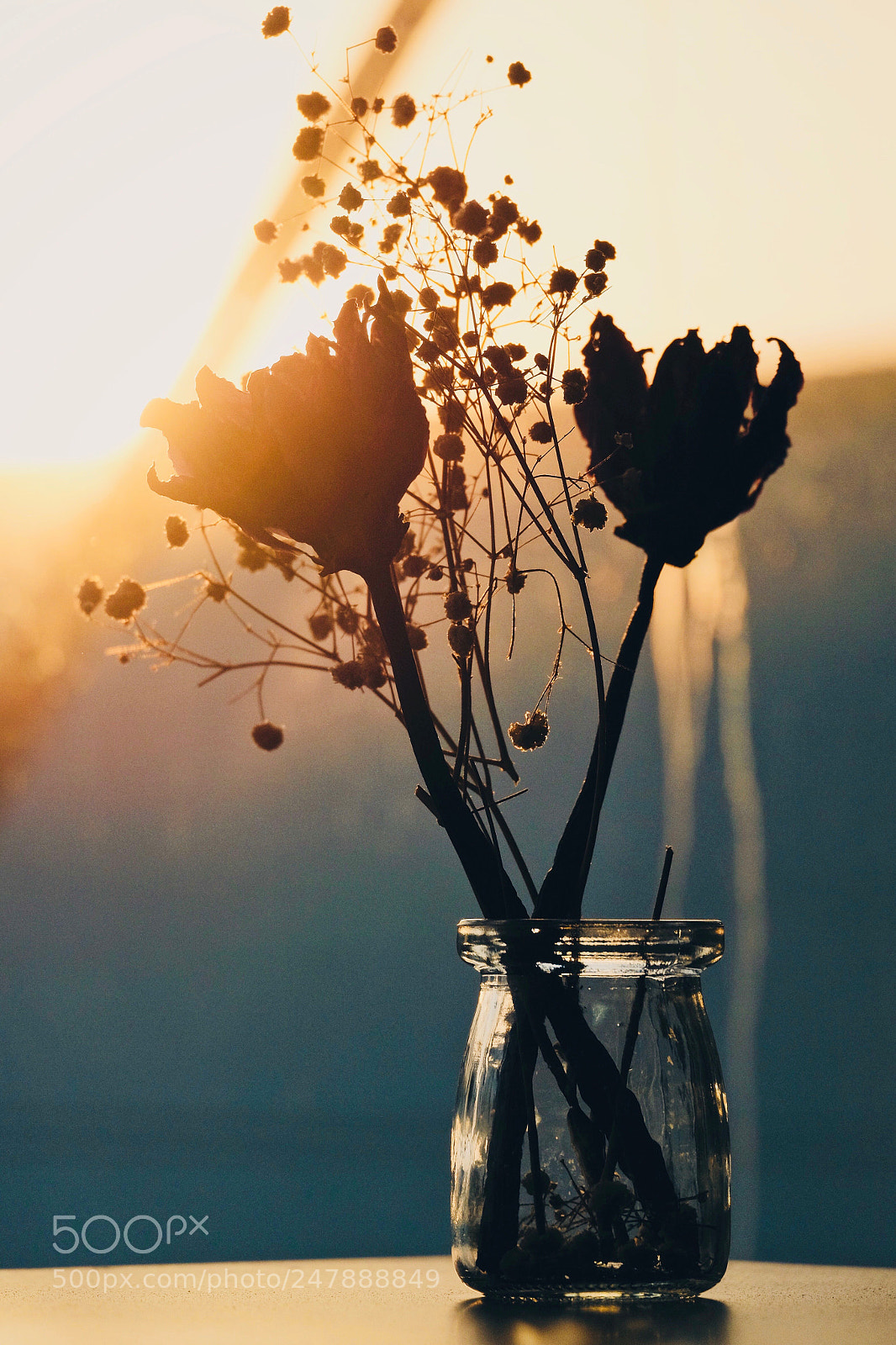 Fujifilm X-T10 sample photo. Dry flowers photography
