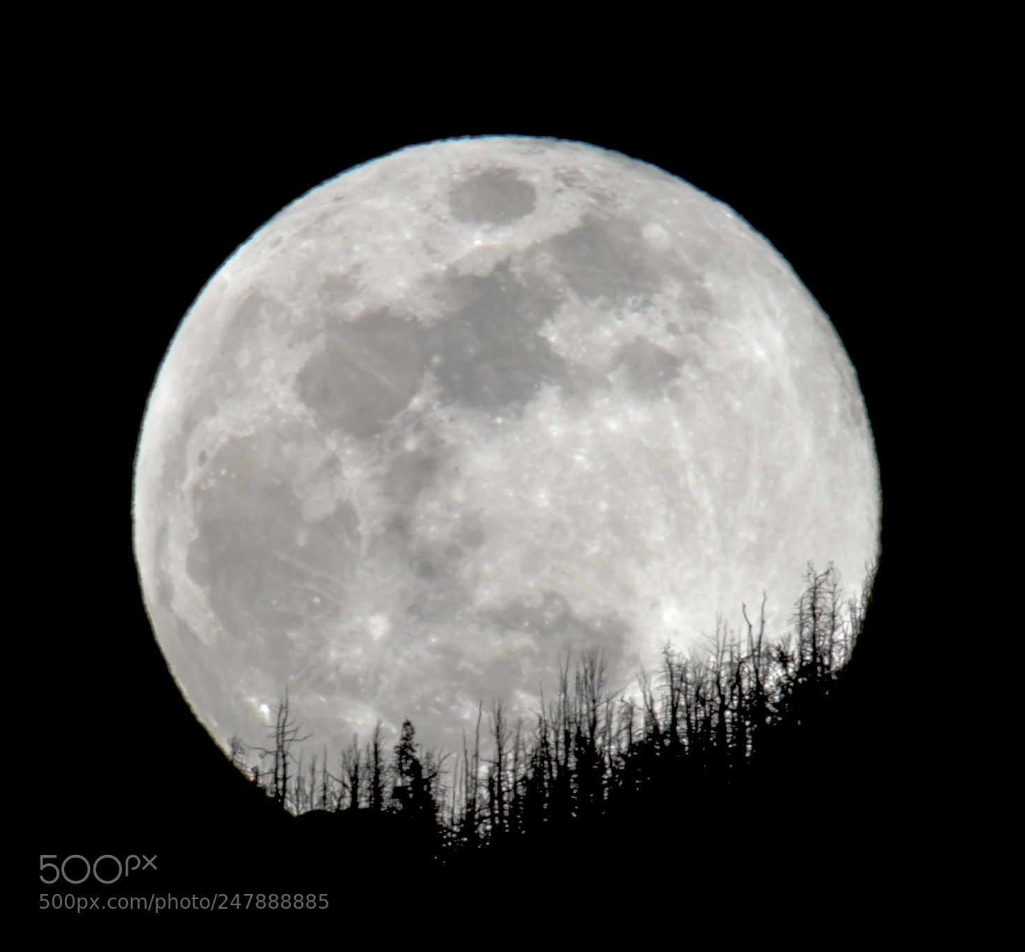 Nikon D4 sample photo. Worm moon over the photography