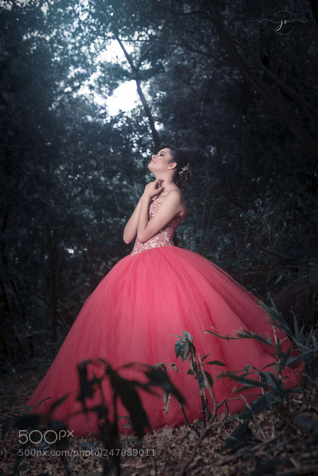 Nikon D800 sample photo. Copia photography