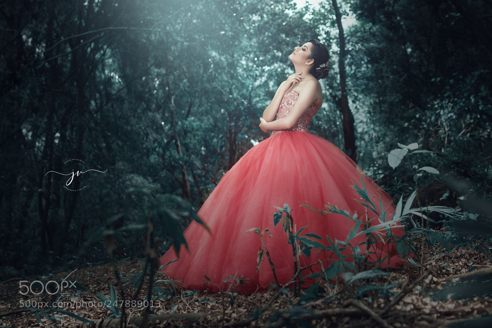 Nikon D800 sample photo. Jos photography