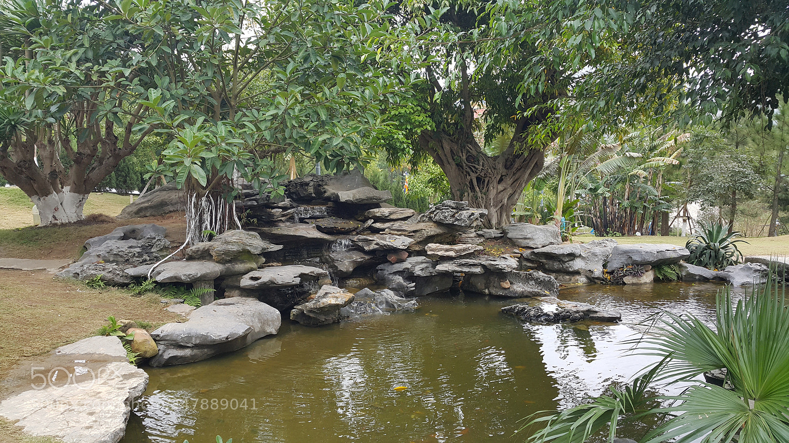 Samsung Galaxy Note4 sample photo. Untitled photography