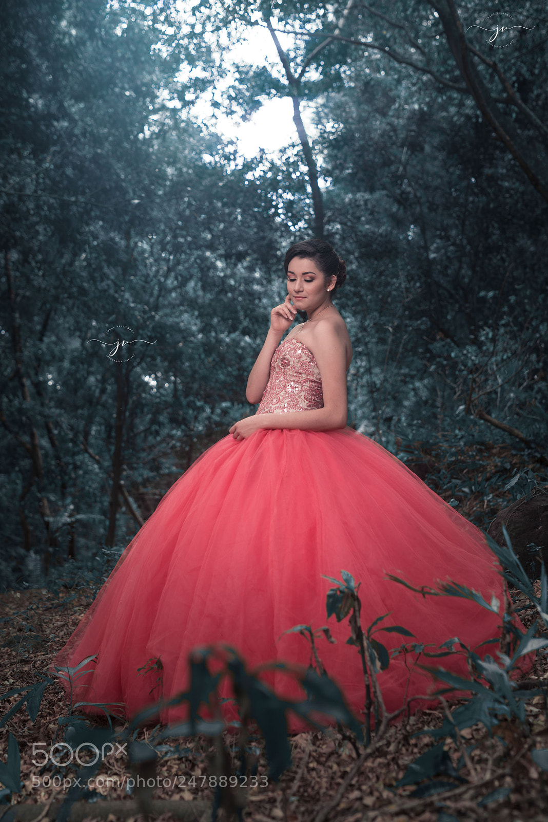 Nikon D800 sample photo. Copia photography