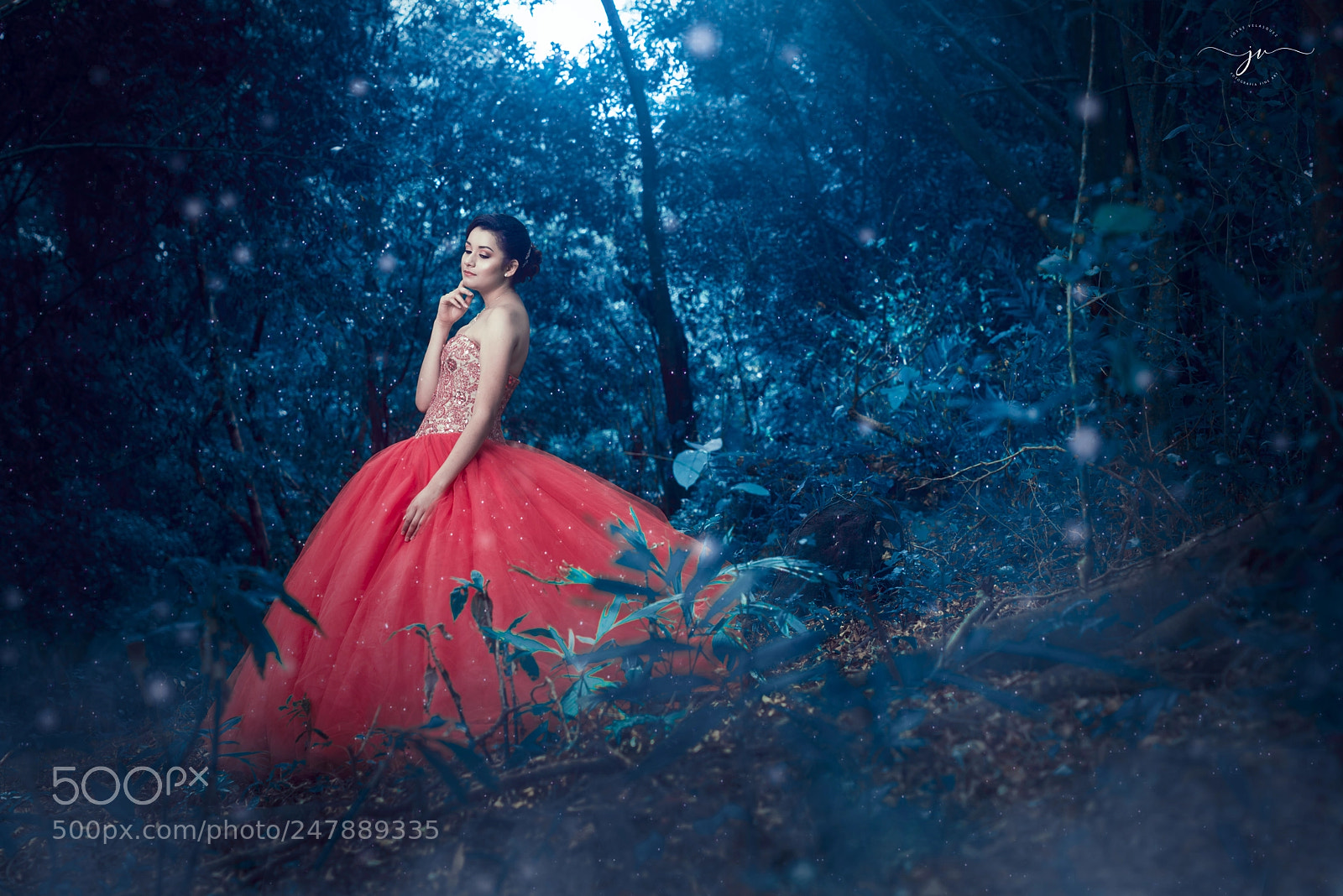 Nikon D800 sample photo. Jos photography