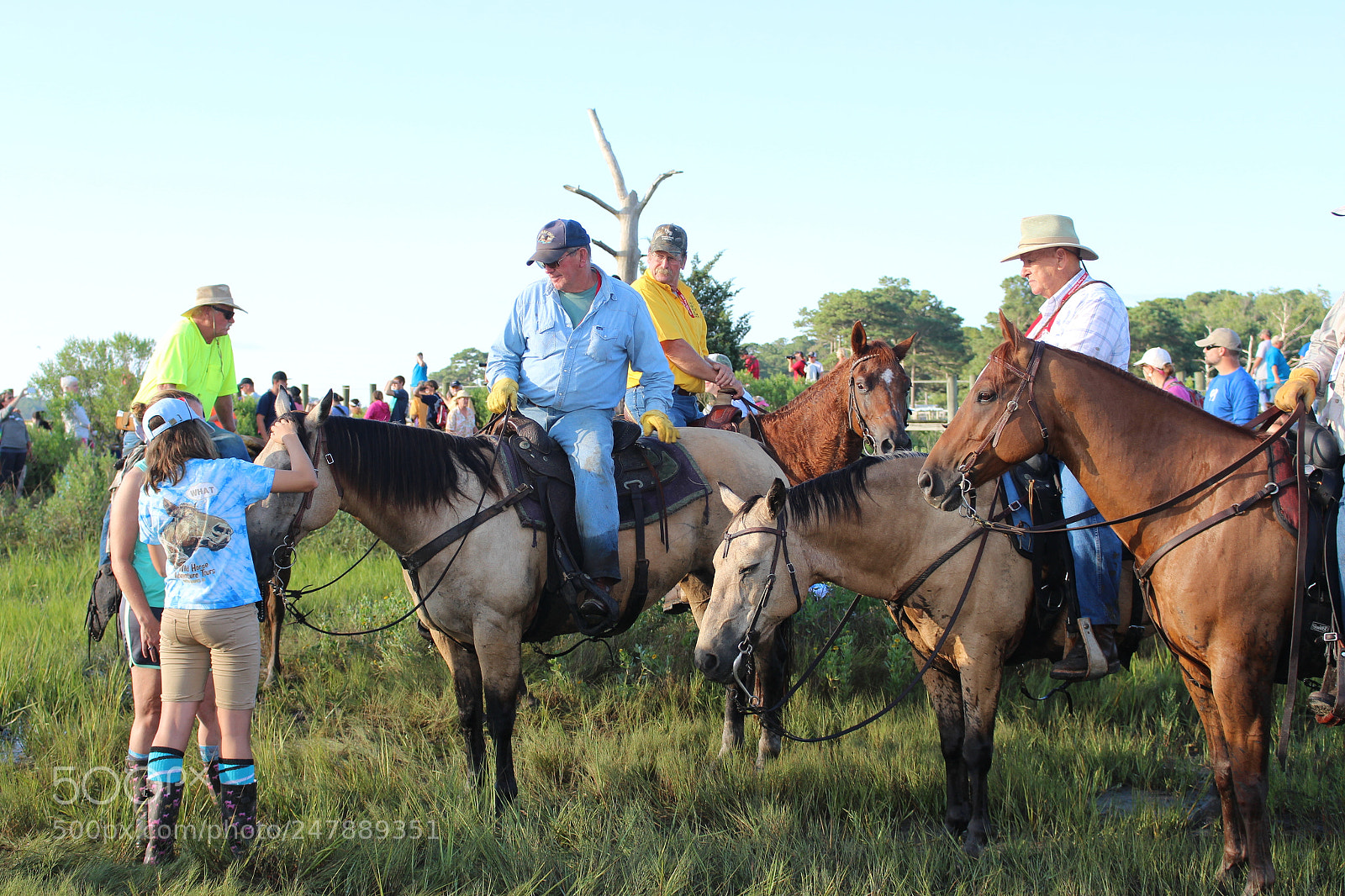 Canon EOS 700D (EOS Rebel T5i / EOS Kiss X7i) sample photo. Cowboy photography