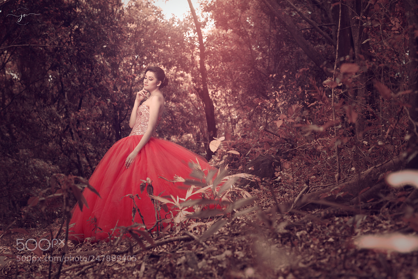 Nikon D800 sample photo. Recuperado photography