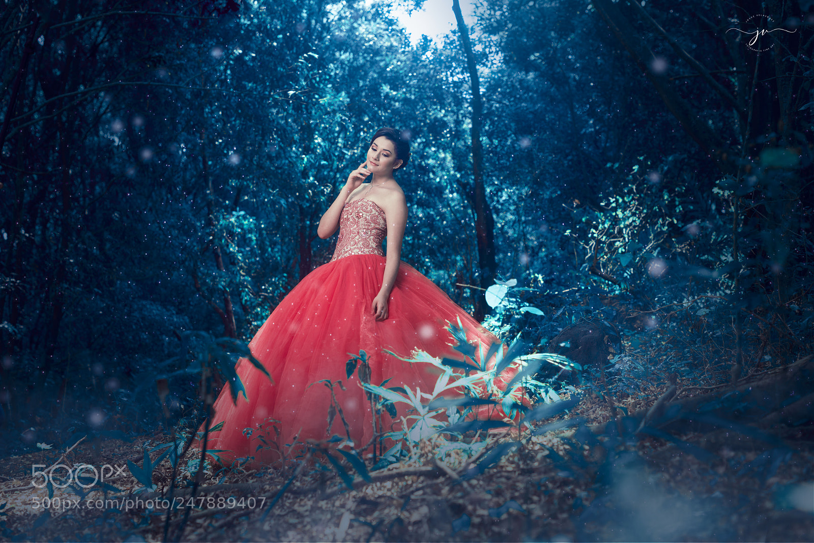 Nikon D800 sample photo. Copia photography