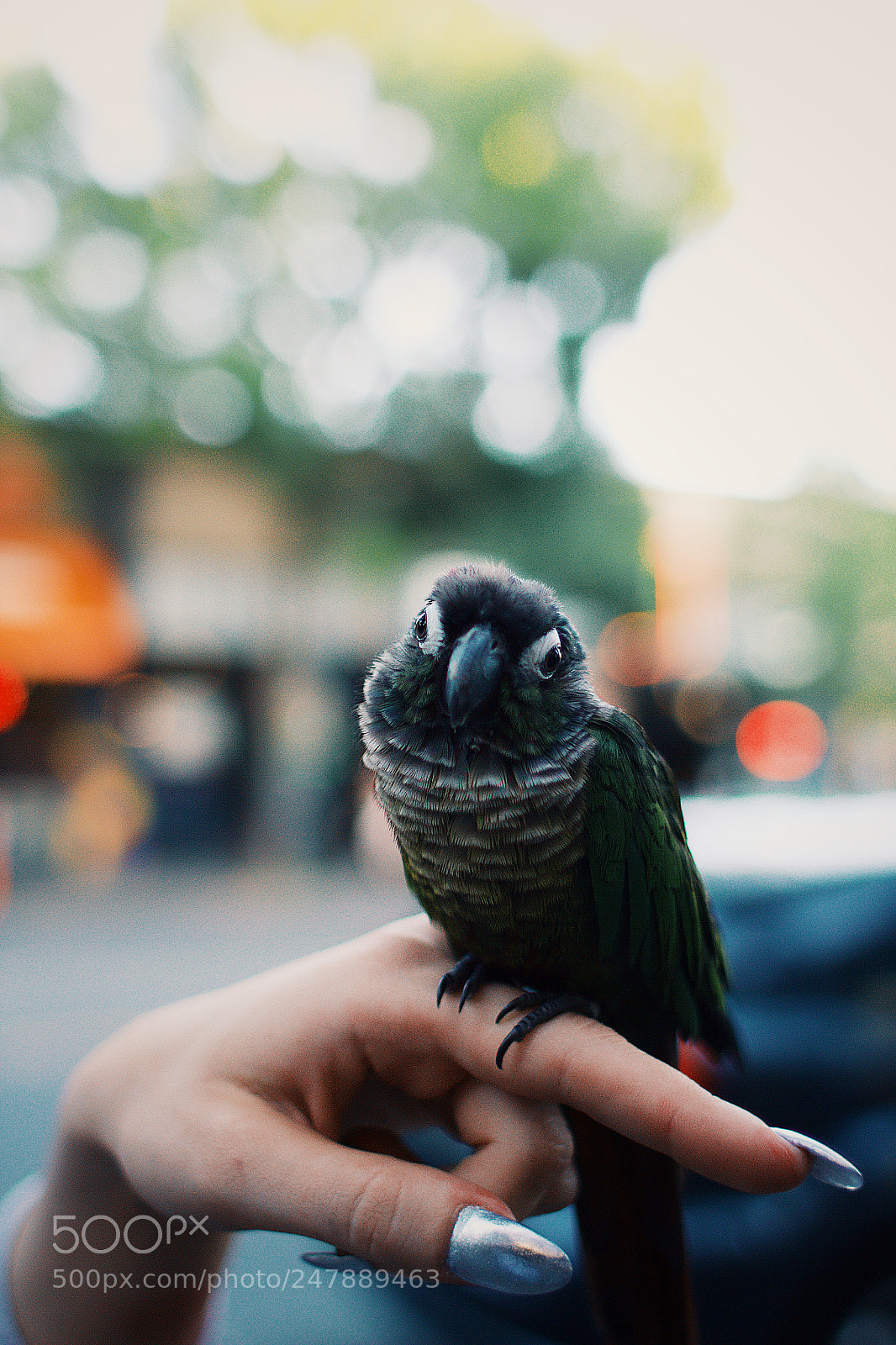 Canon EOS 7D sample photo. Untitled photography