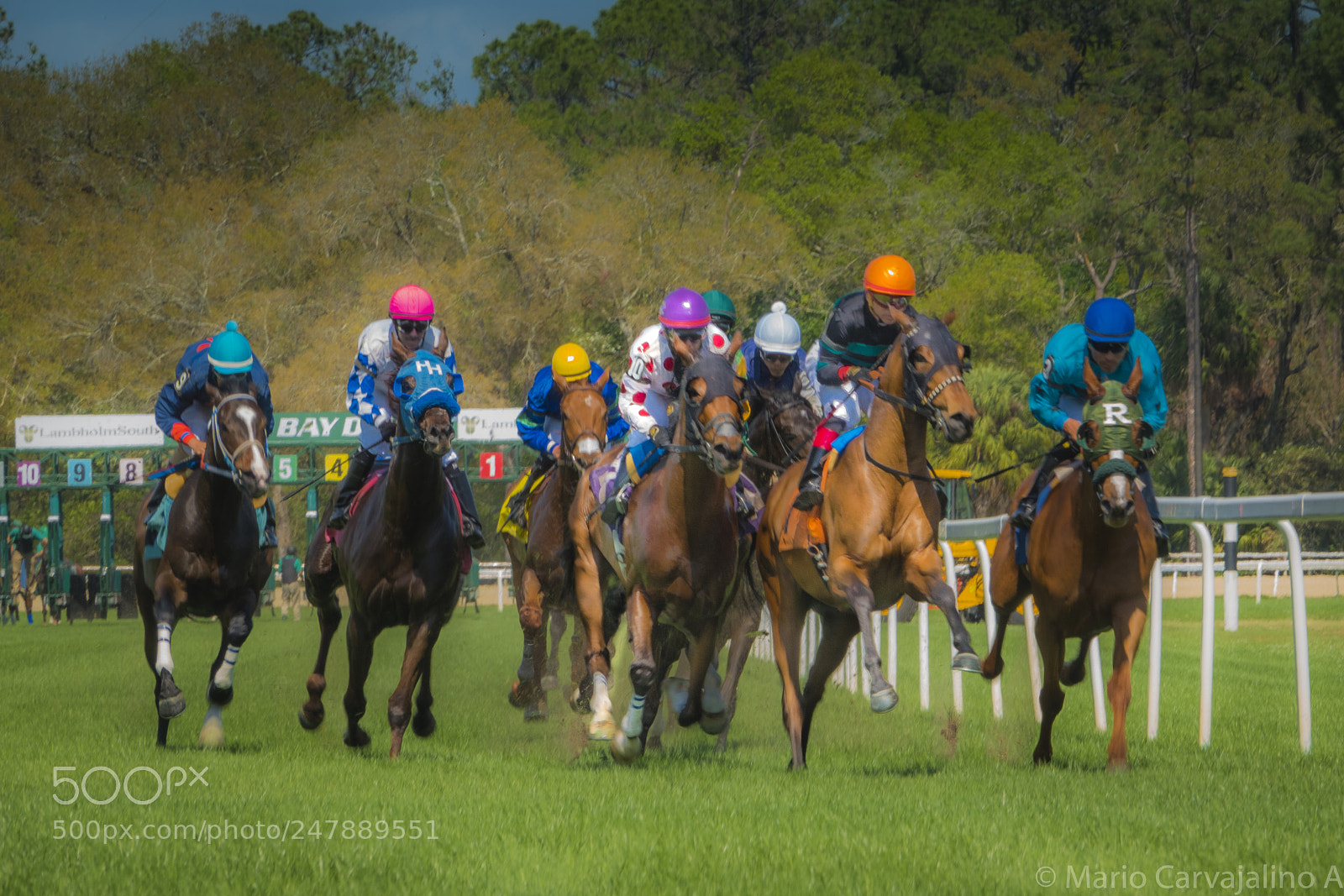 Sony Cyber-shot DSC-RX10 IV sample photo. Shooting horses racing is photography