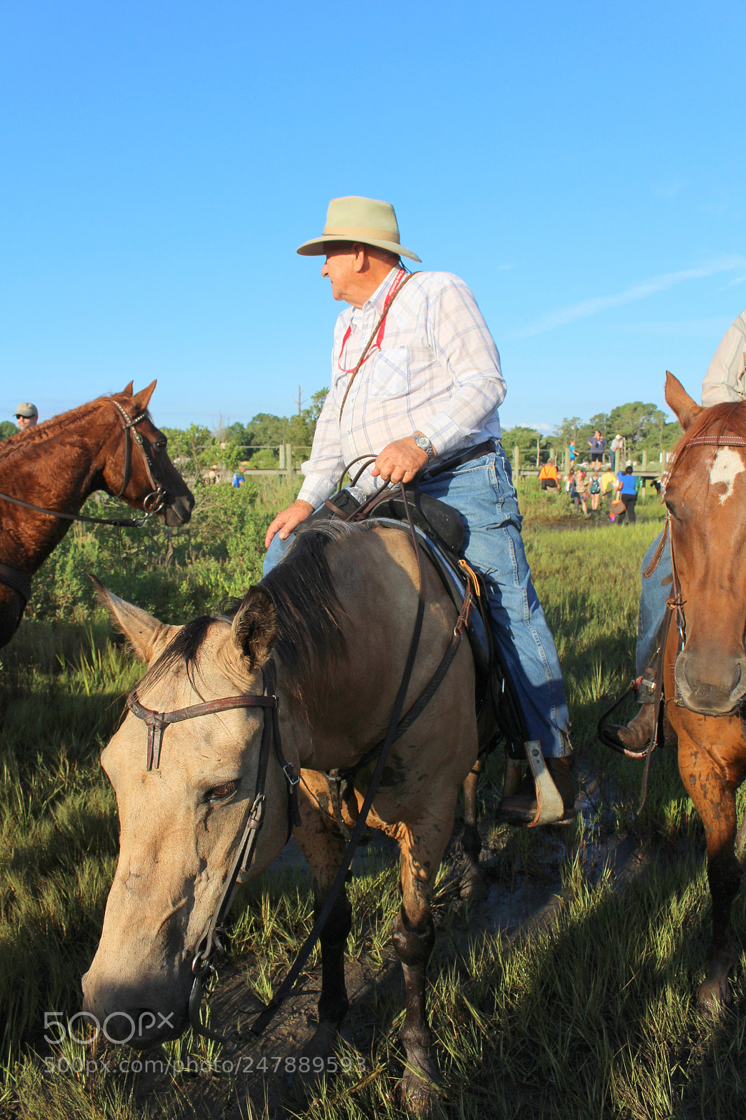 Canon EOS 700D (EOS Rebel T5i / EOS Kiss X7i) sample photo. Cowboy photography