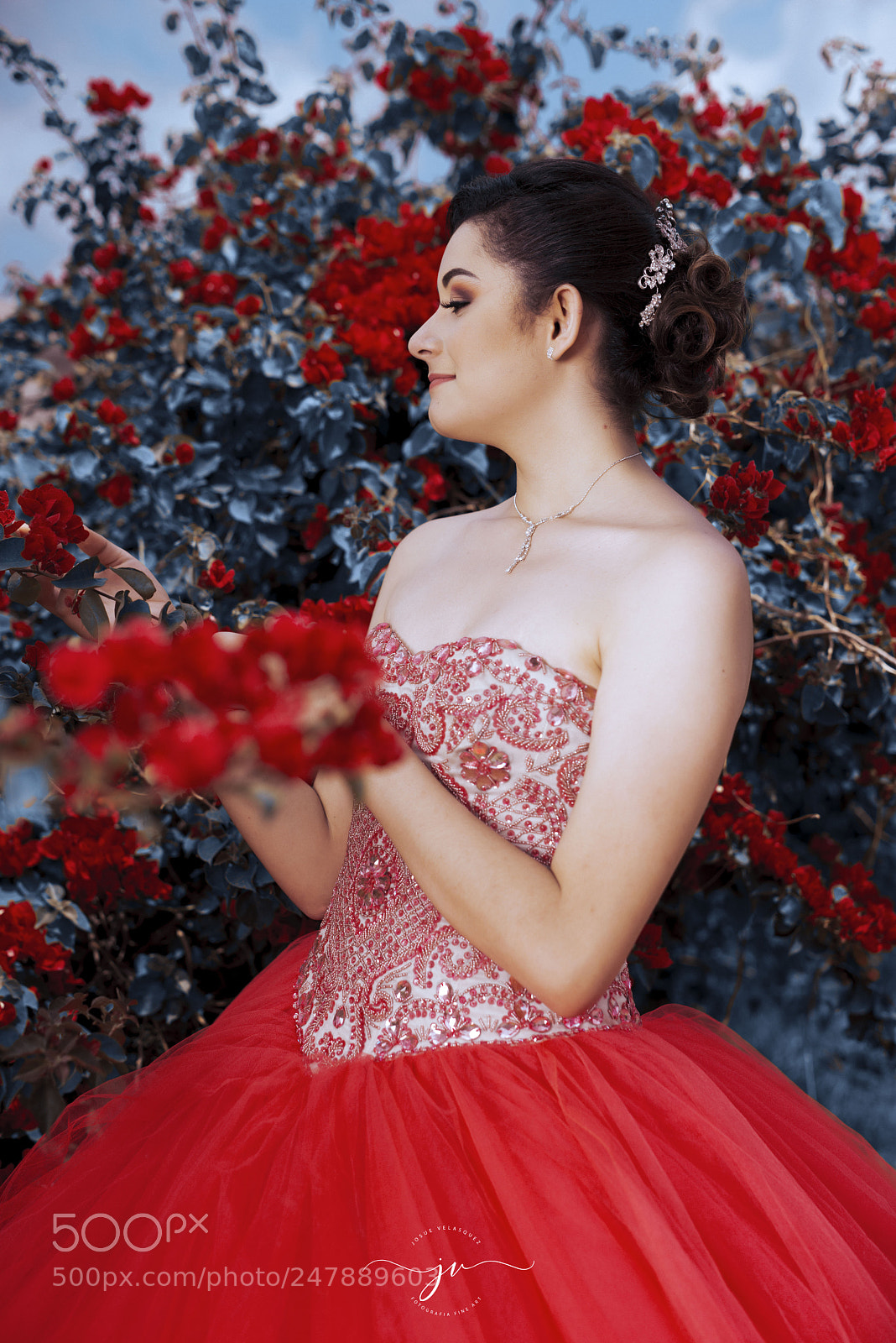 Nikon D800 sample photo. Copia photography