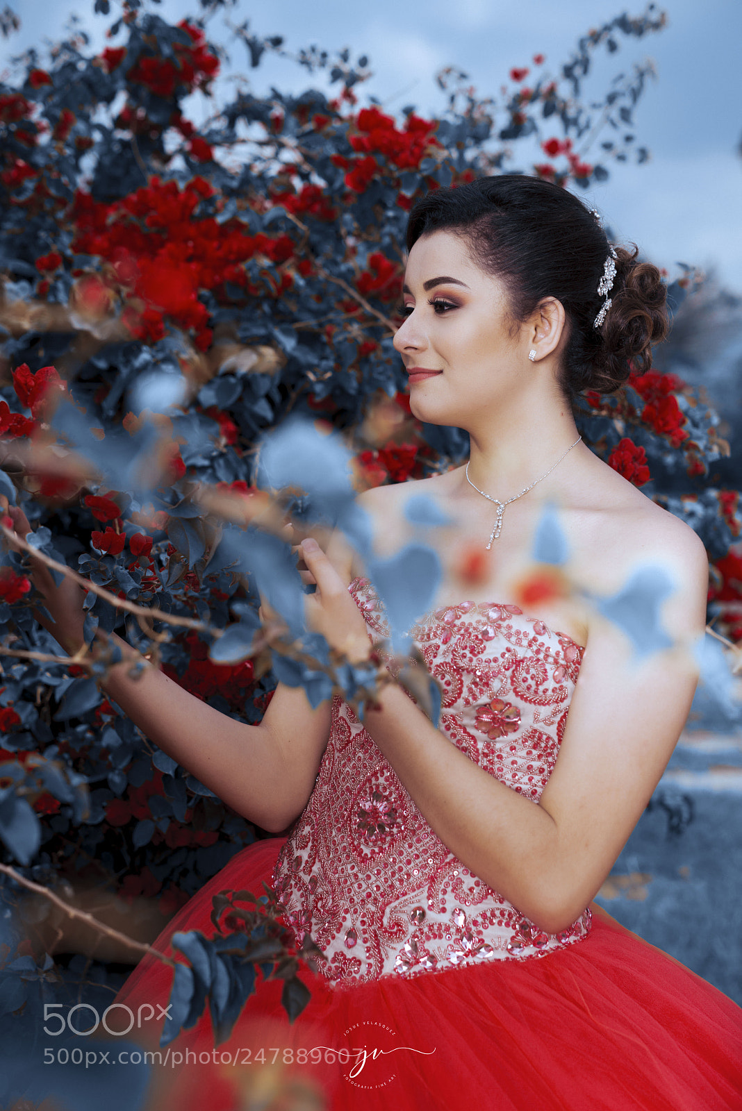 Nikon D800 sample photo. Copia photography