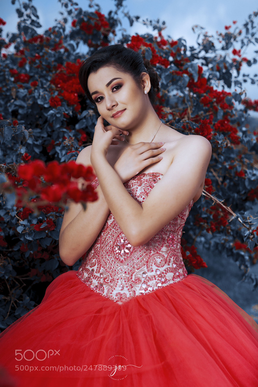 Nikon D800 sample photo. Copia photography