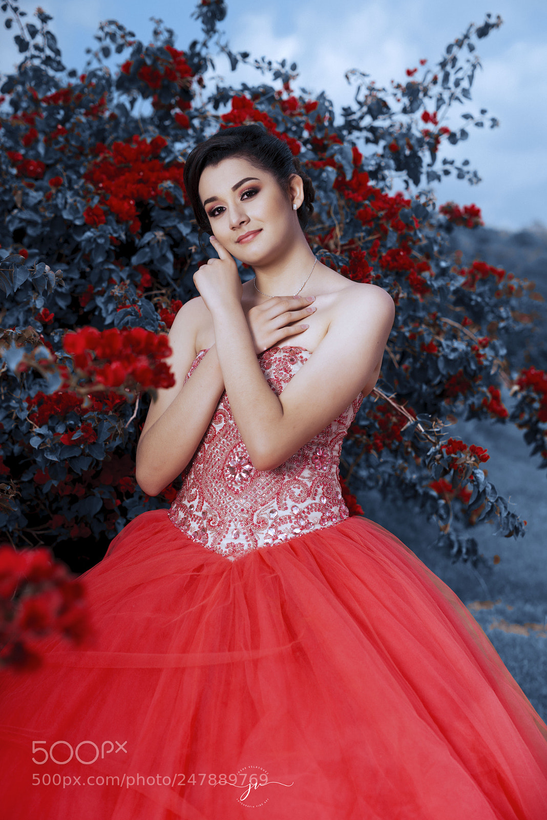 Nikon D800 sample photo. Copia photography