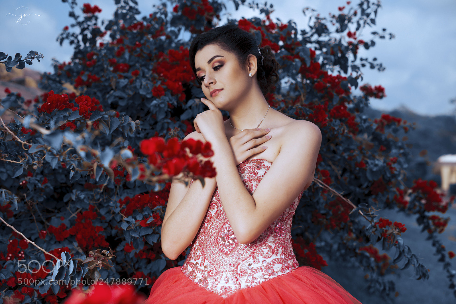Nikon D800 sample photo. Copia photography