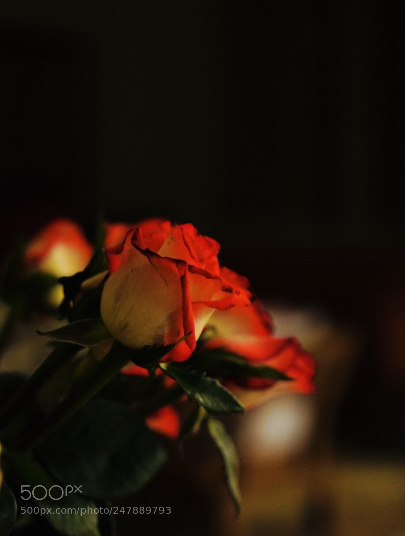 Sony a7 II sample photo. Jump photography