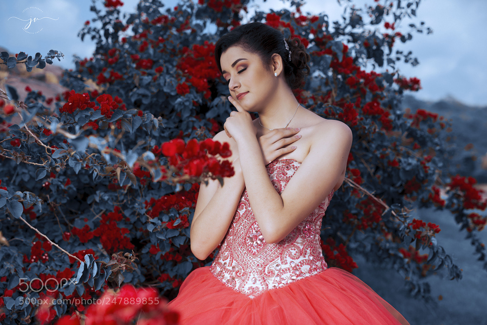 Nikon D800 sample photo. Copia photography