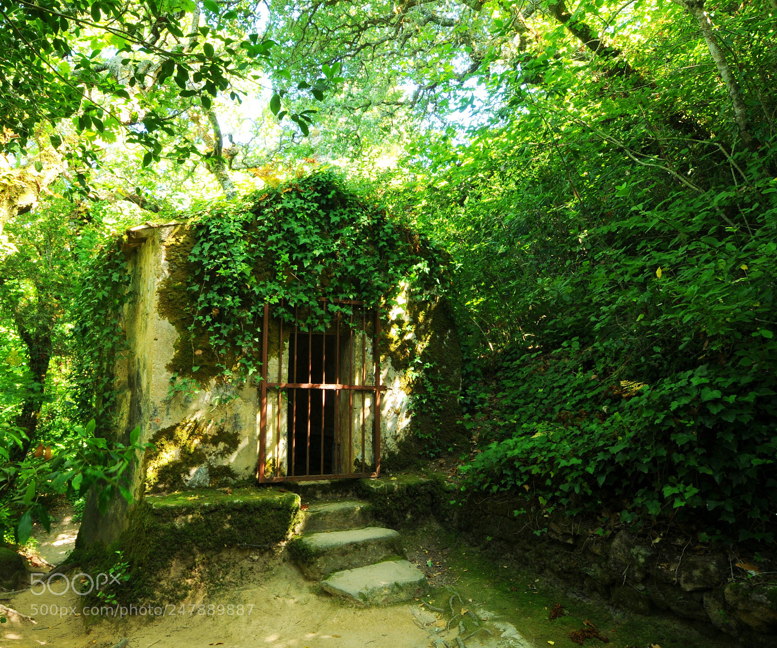 Nikon D300 sample photo. Monks retreat photography