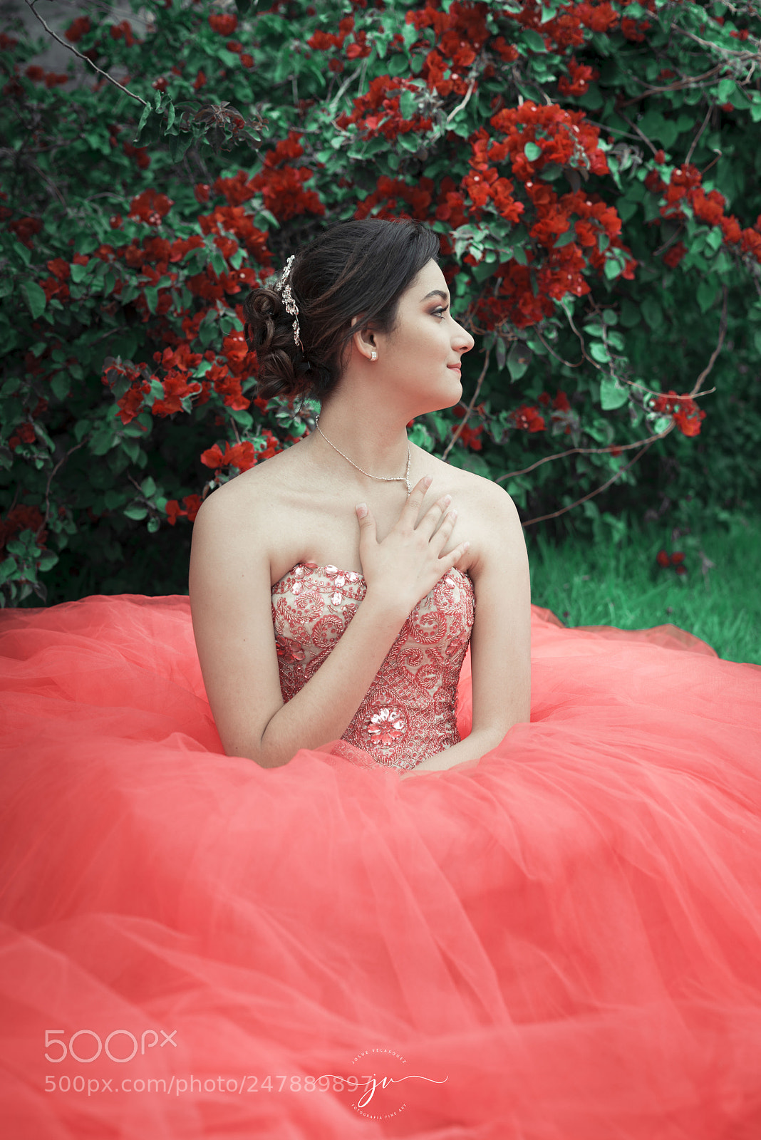 Nikon D800 sample photo. Copia photography