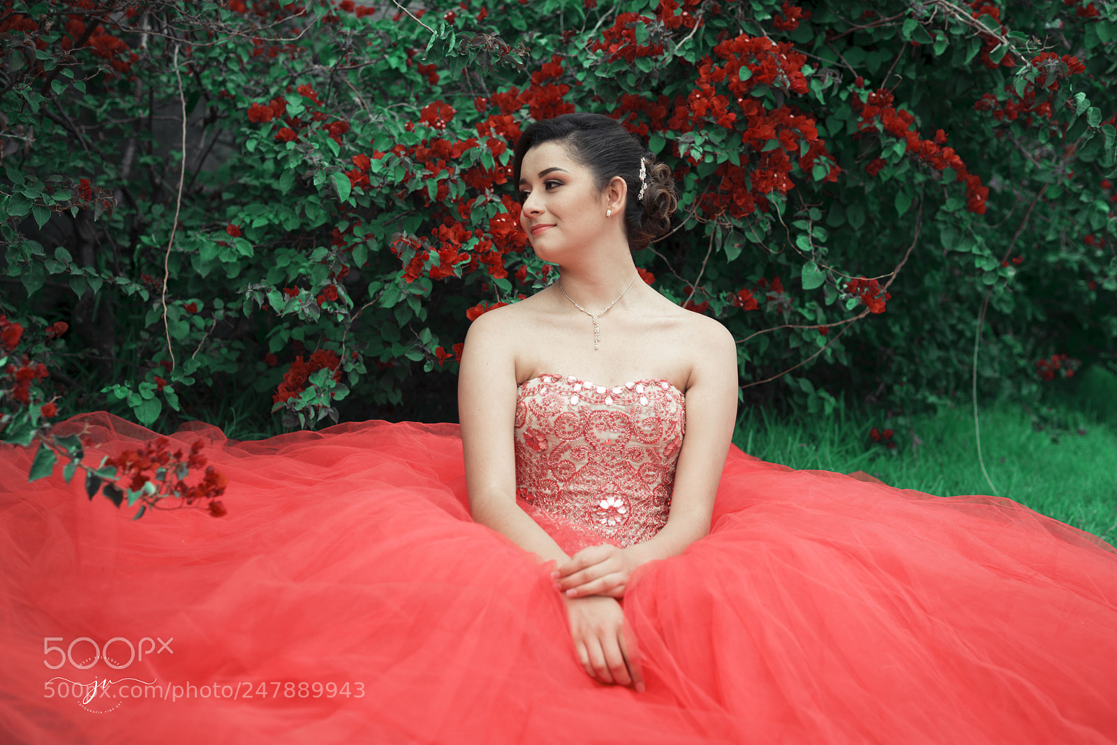 Nikon D800 sample photo. Copia photography