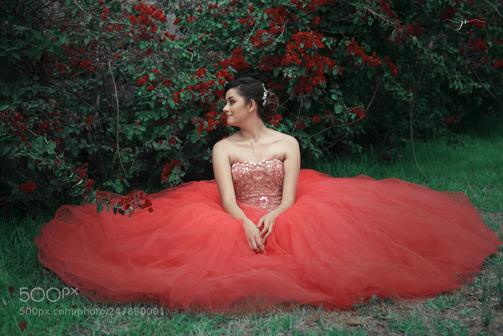 Nikon D800 sample photo. Copia photography